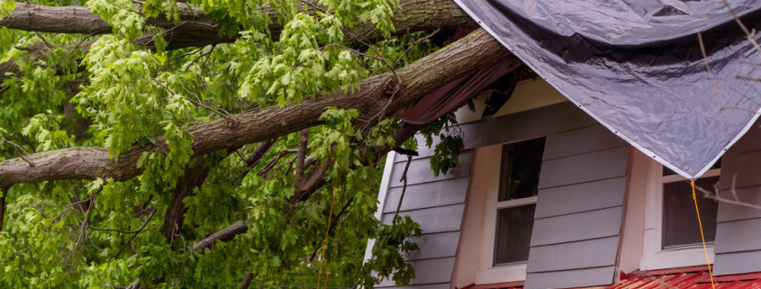 How to Insure Your Green Home in Highlands Ranch
